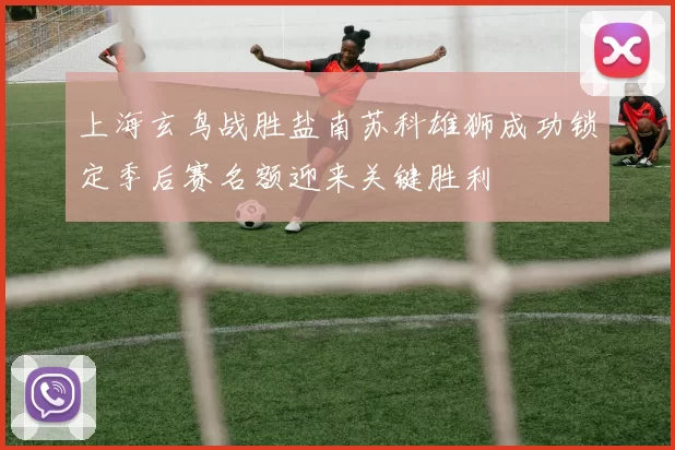 上海玄鸟战胜盐南苏科雄狮成功锁定季后赛名额迎来关键胜利